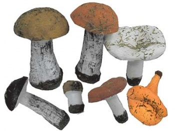 Набор муляжи грибов
